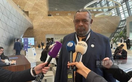 Yeni Kaledoniyanın azadlıq mübarizləri Bakıdan dünyaya çağırış edib: “Müstəqilliyimizi tanıyın” - FOTO