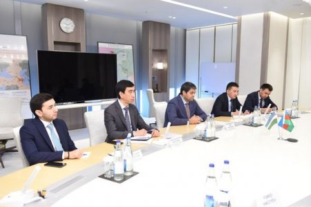 SOCAR prezidenti Özbəkistanın energetika nazirinin müavini ilə görüşdü 