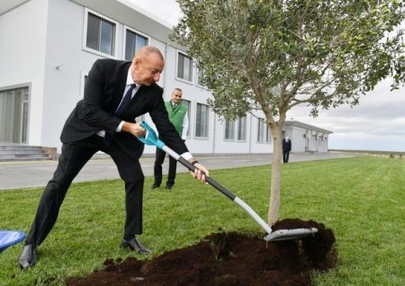 İlham Əliyev Bakıda zavodun açılışında iştirak etdi - FOTO