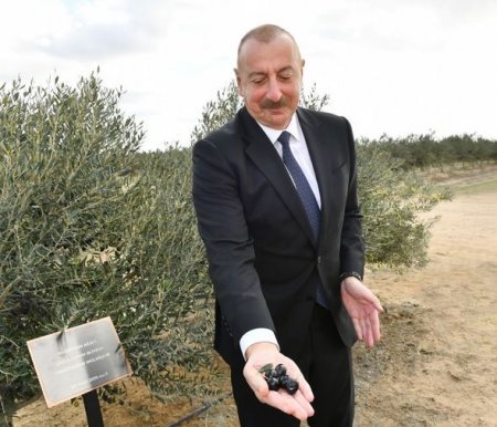 İlham Əliyev Bakıda zavodun açılışında iştirak etdi - FOTO