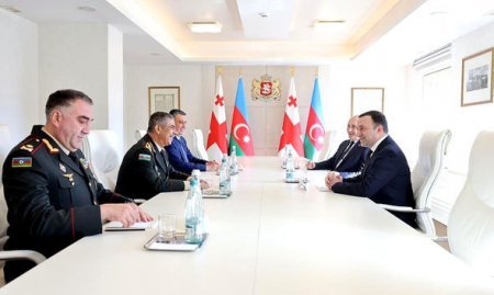 Müdafiə naziri Gürcüstanın Baş naziri ilə görüşüb - FOTO