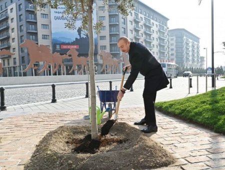İlham Əliyev Ağ Şəhərdə təməlqoyma mərasimində iştirak edib - FOTO