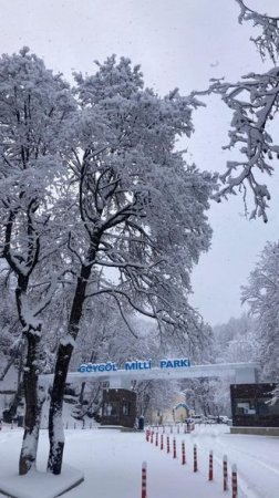 Göygöl və Maralgöl dondu - FOTO