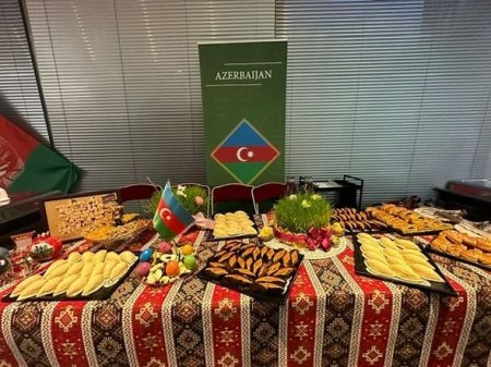 Cenevrədə Novruz bayramı qeyd edilib - FOTO