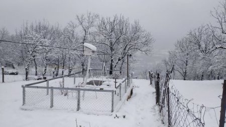 Şahdağda 22, Lerik, Qrızda 15 sm qar yağıb - FAKTİKİ HAVA - FOTO