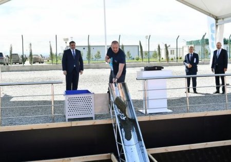 Prezident “Araz Vadisi İqtisadi Zonası”ndakı işlərlə tanış olub, bir neçə müəssisənin təməlini qoyub – FOTO