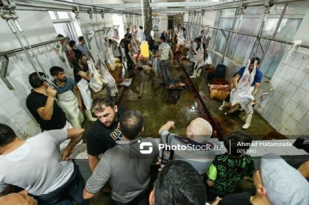 Bakıda əhali qurban kəsib