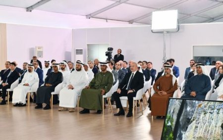 İlham Əliyev Qaradağ Günəş Elektrik Stansiyasının rəsmi açılış mərasimində iştirak edib 