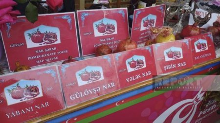 Göyçayda XV Nar festivalı keçirilir