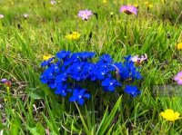 Kiçik Qafqazın ən yüksək dağ gölü, Naxçıvanın “gizli cənnəti” 