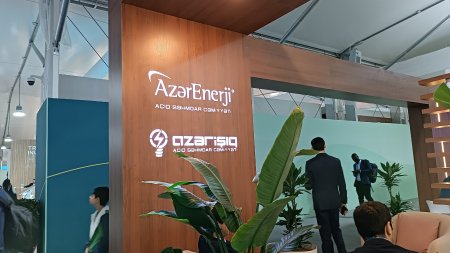 COP29-un Yaşıl zonasında nələr var? - REPORTAJ, FOTOLAR COP29-un Yaşıl zonasında nələr var? - REPORTAJ, FOTOLAR