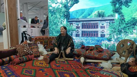COP29-un Yaşıl zonasında nələr var? - REPORTAJ, FOTOLAR COP29-un Yaşıl zonasında nələr var? - REPORTAJ, FOTOLAR