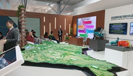 COP29-un Yaşıl zonasında nələr var? - REPORTAJ, FOTOLAR COP29-un Yaşıl zonasında nələr var? - REPORTAJ, FOTOLAR