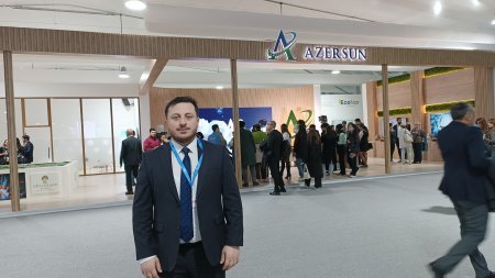 COP29-un Yaşıl zonasında nələr var? - REPORTAJ, FOTOLAR COP29-un Yaşıl zonasında nələr var? - REPORTAJ, FOTOLAR