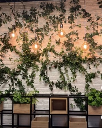 Innovasiya və Estetikanın Sədası: Aynur Əsgərova