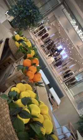 Innovasiya və Estetikanın Sədası: Aynur Əsgərova