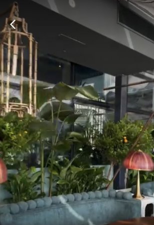 Innovasiya və Estetikanın Sədası: Aynur Əsgərova