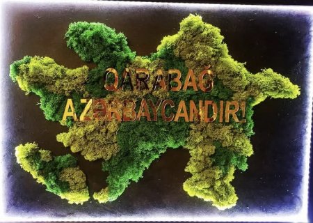 Innovasiya və Estetikanın Sədası: Aynur Əsgərova