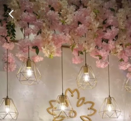 Innovasiya və Estetikanın Sədası: Aynur Əsgərova