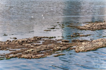 Xəzər bizdən gedir. Fotoreportaj